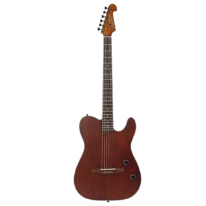 Acoustic Guitar (Steel String)