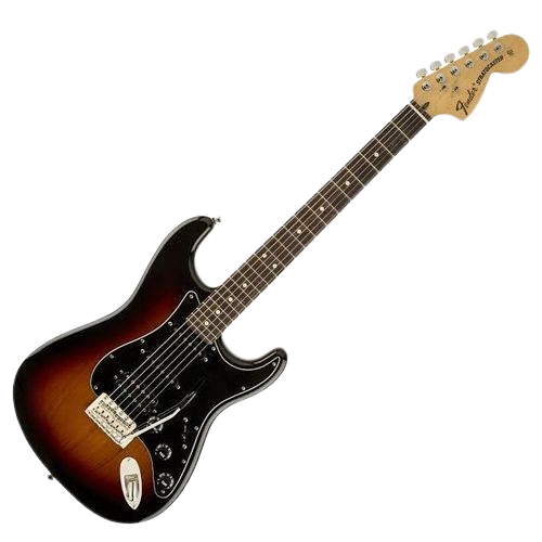 Electric Guitar (Professional)