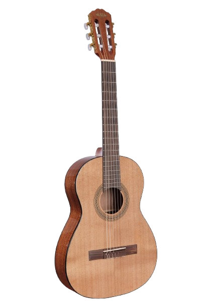 Acoustic Guitar (Classical)