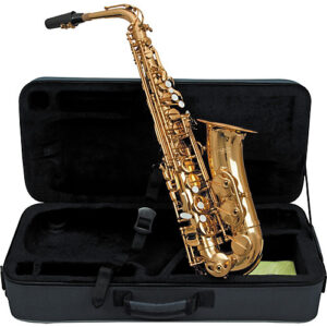 Professional Alto Saxophone with Case